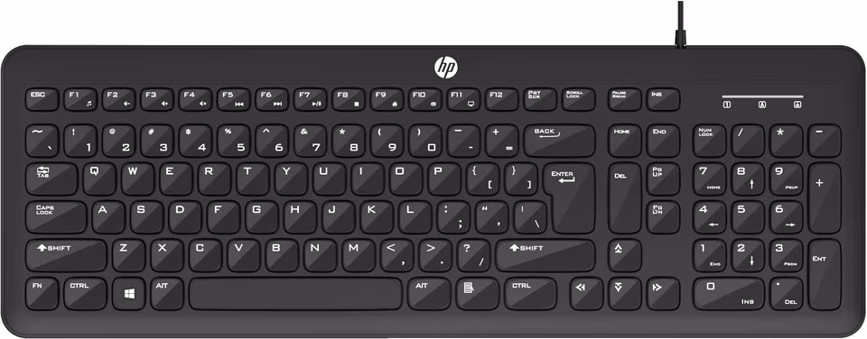 HP WIRED KEYBOARD K160