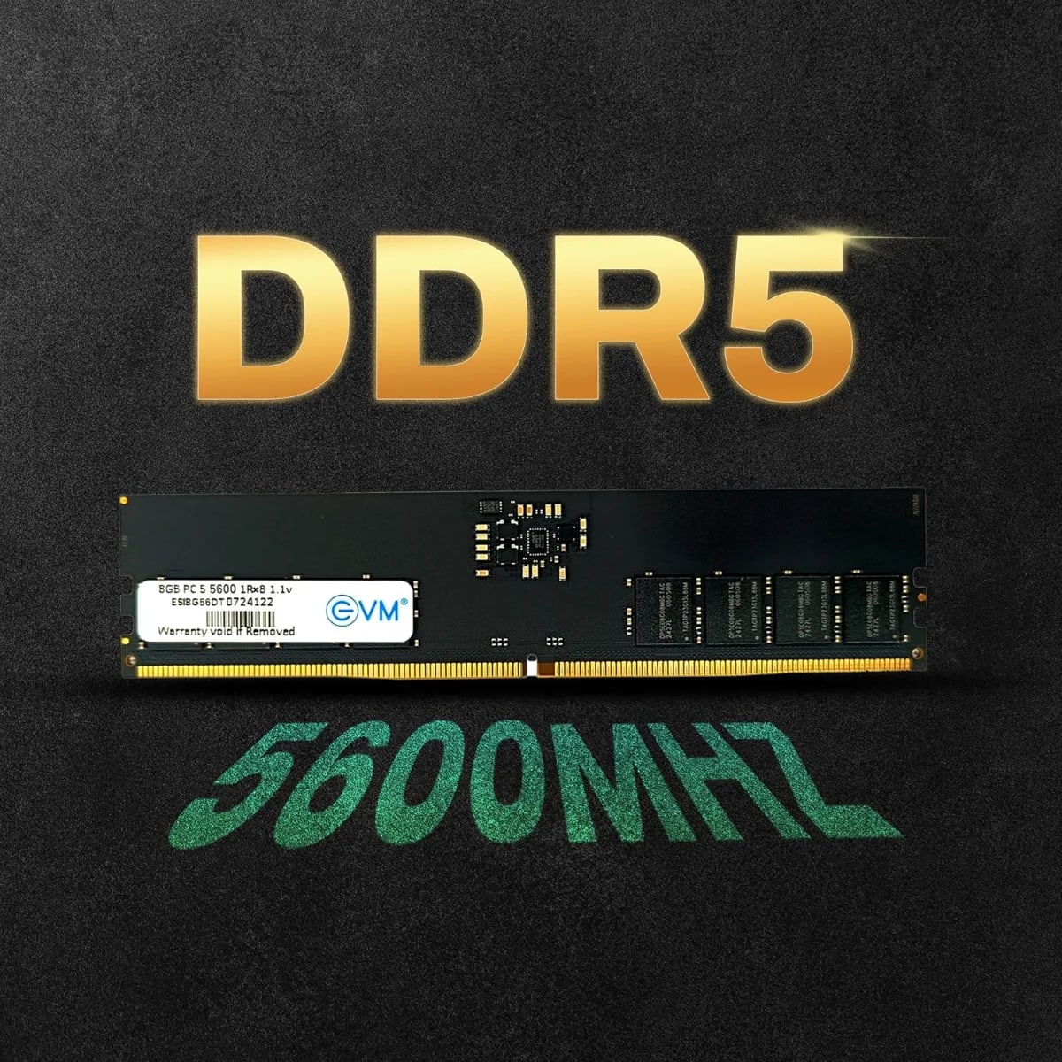 EVM 8GB DDR5 Desktop RAM Memory | 5600MHz