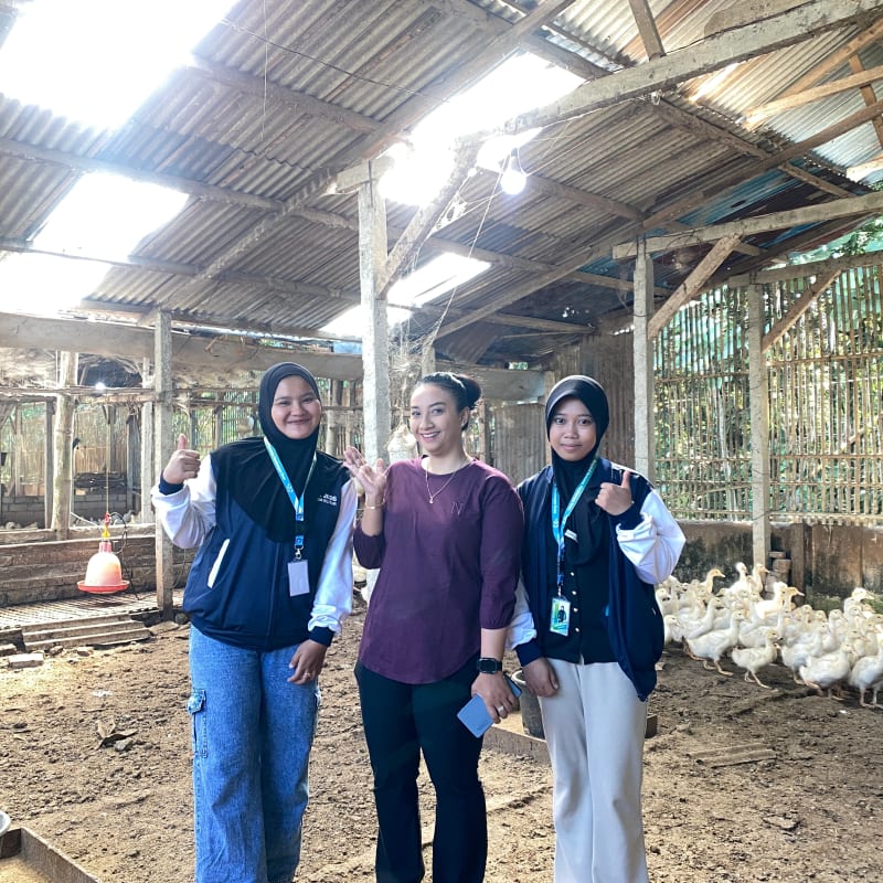 Kegiatan peternakan warga Desa Jeding