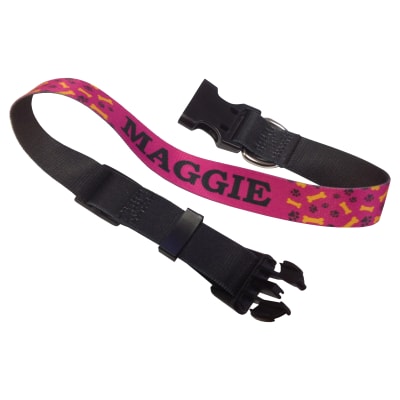 Dog Collars