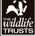 The Wildlife Trust 