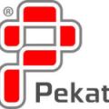 Pekat Energy (Sarawak) Sdn Bhd