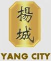 Yang City Builders Pte Ltd