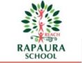 Rapaura School