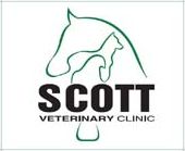 Scott Veterinary Clinic Hiring for Receptionist at Bedford