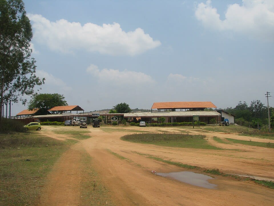 Bannerghatta National Park photo 3