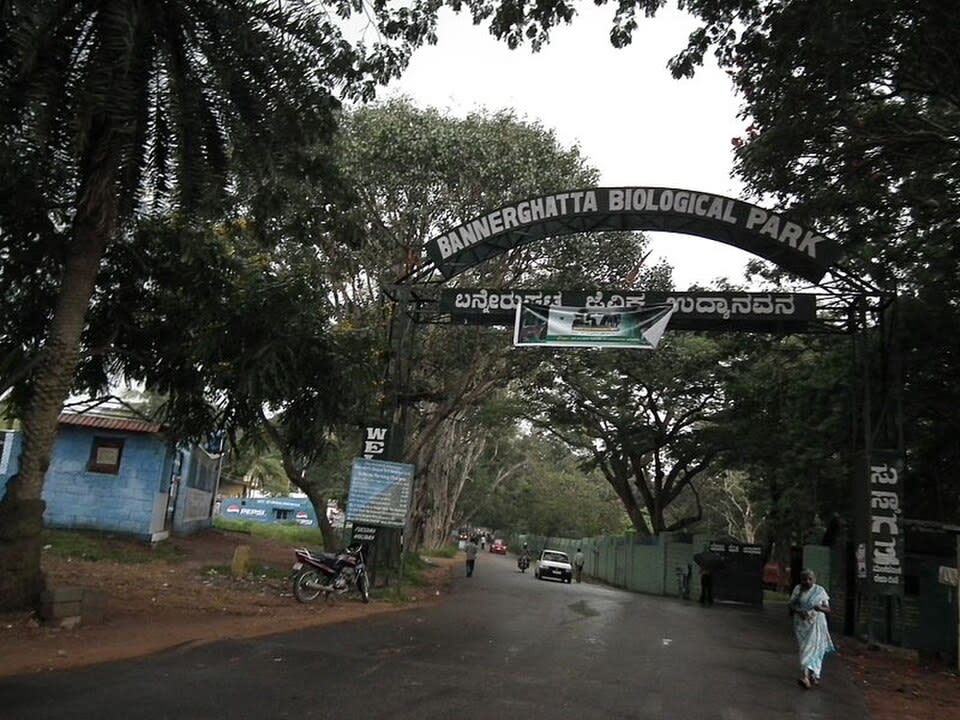 Bannerghatta National Park photo 4