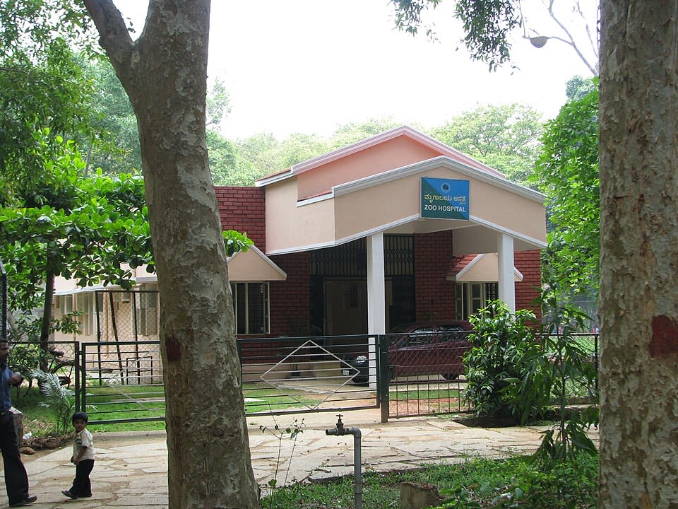 Bannerghatta National Park photo 8