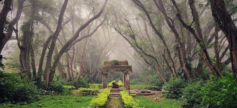 Nandi Hills photo 3