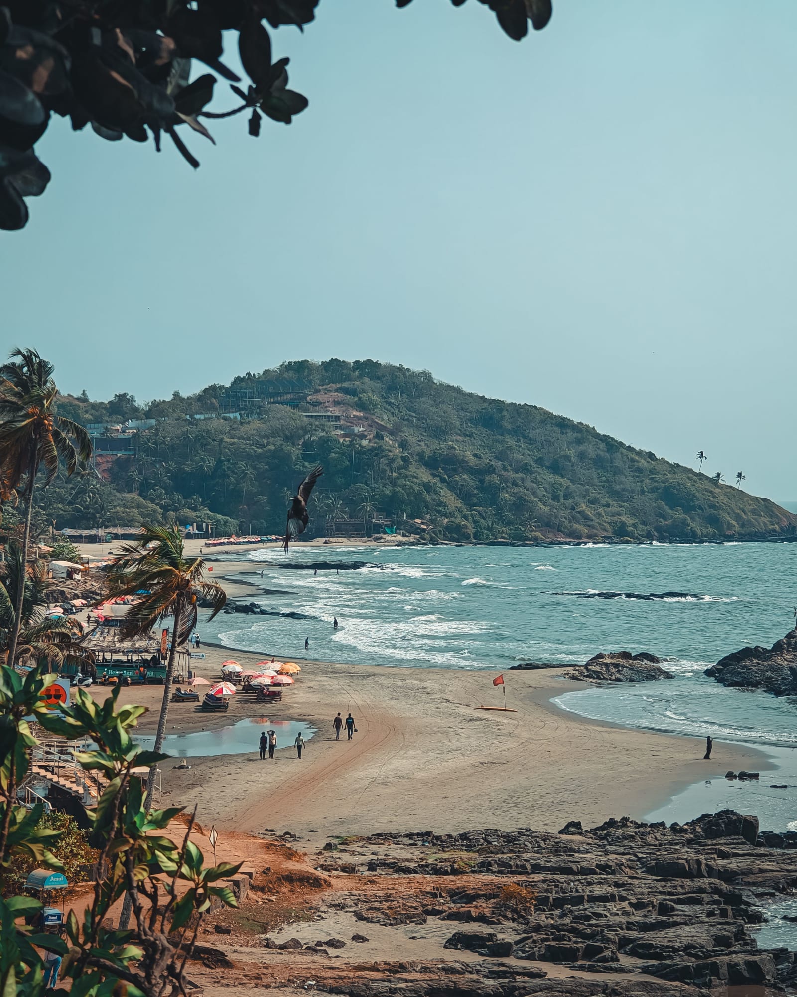 Goa photo 4