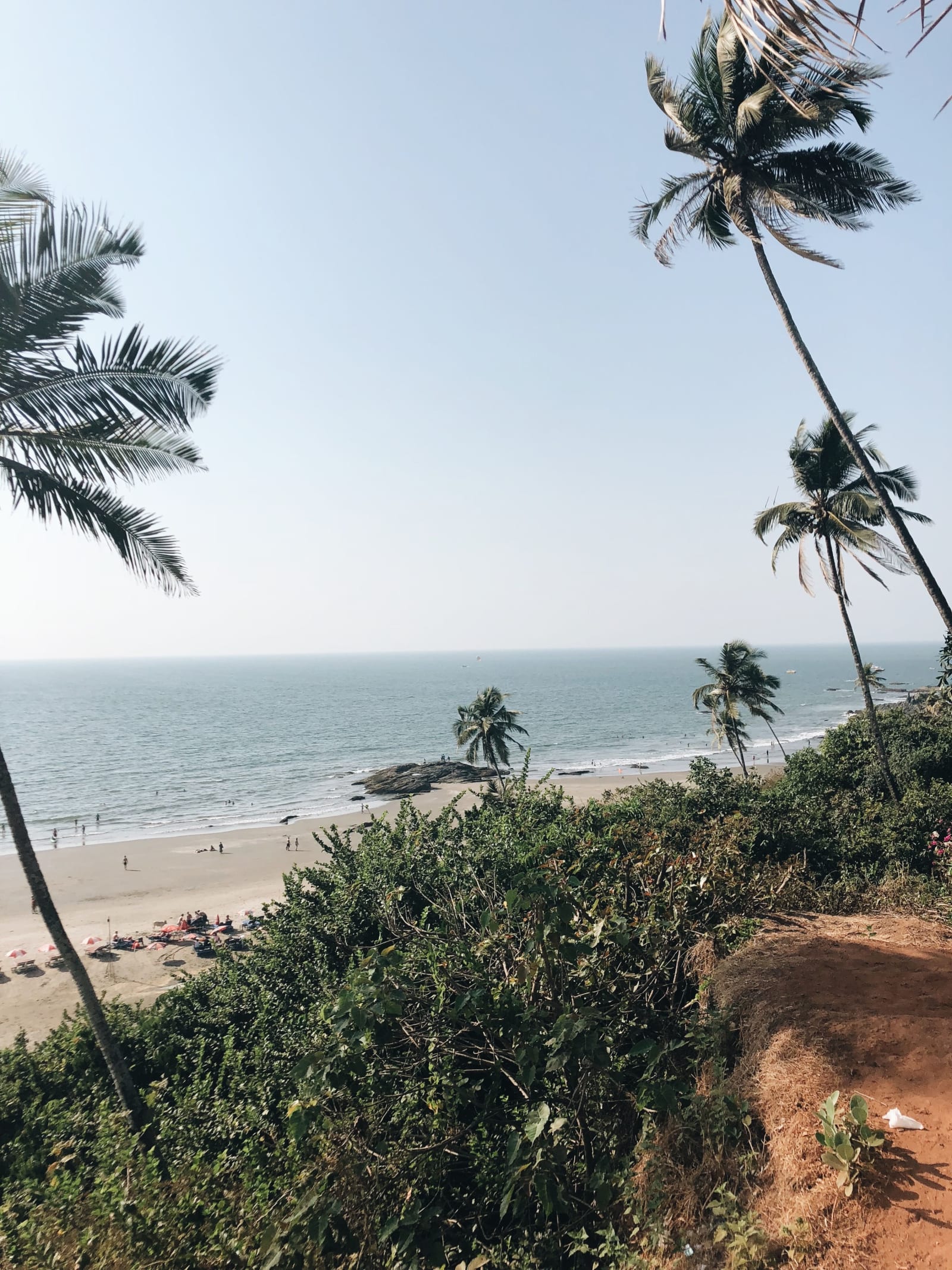Goa photo 6
