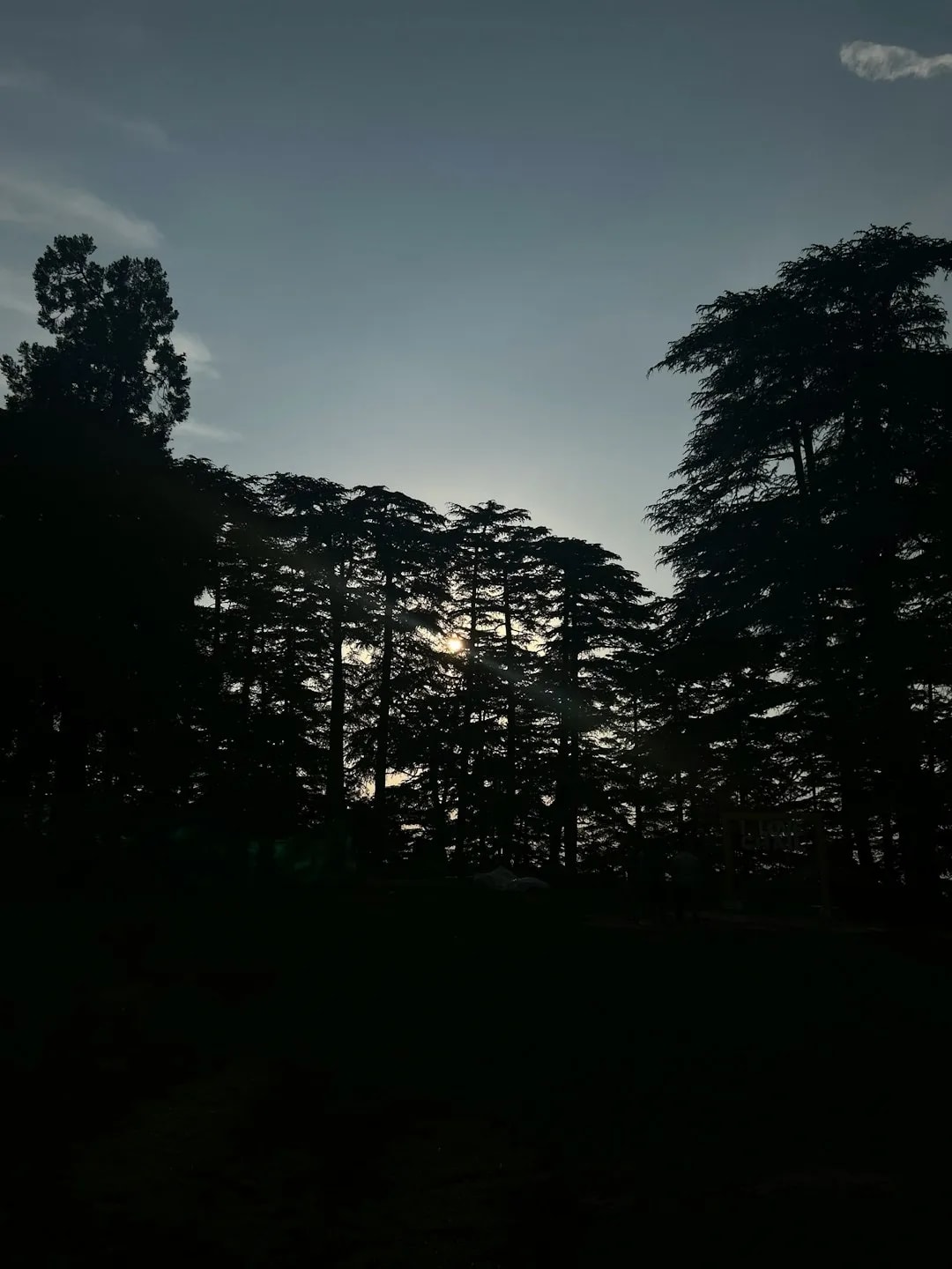 Chail Cricket Ground