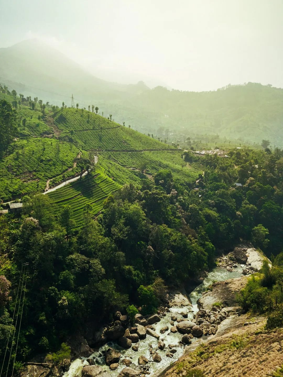Munnar travel destination