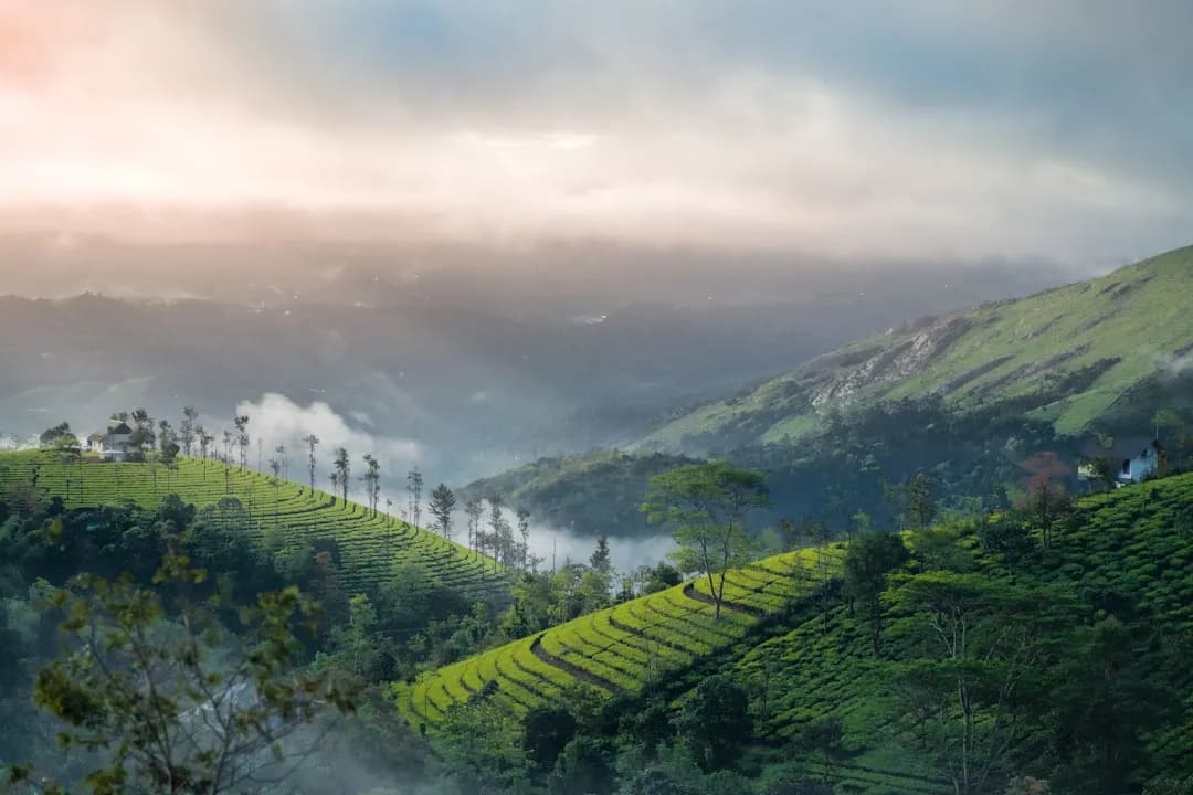 Vagamon travel destination