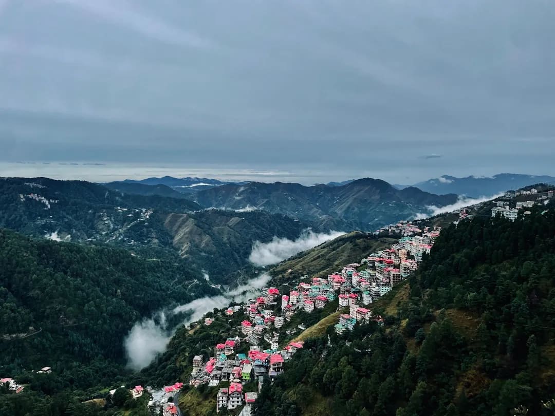 Kufri