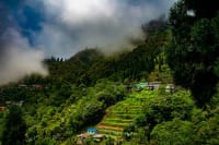 Happy Valley Tea Estate