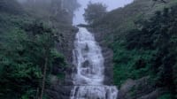 Bear Shola Falls
