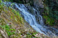 Elephant Falls
