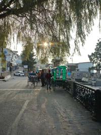 Camel's Back Road
