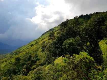Coffee Estates & Coffee Museum