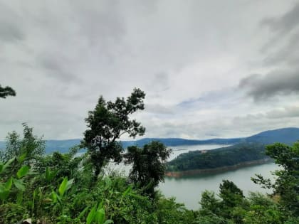Ward's Lake