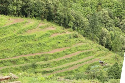 Ranikhet Golf Course