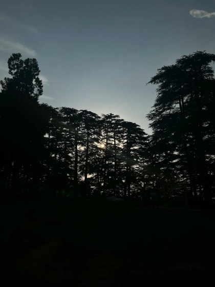Chail Cricket Ground