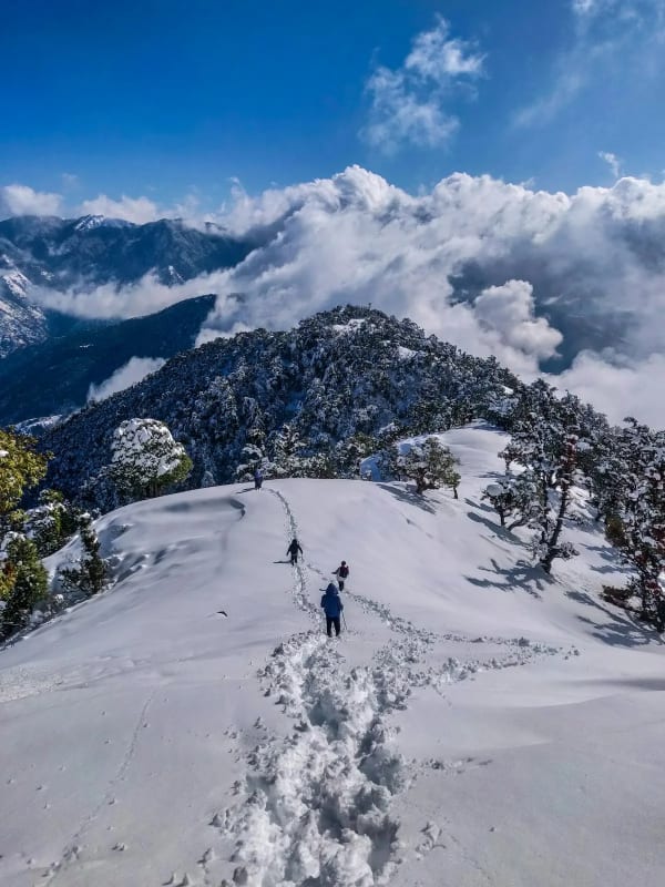 Chail Travel Guide