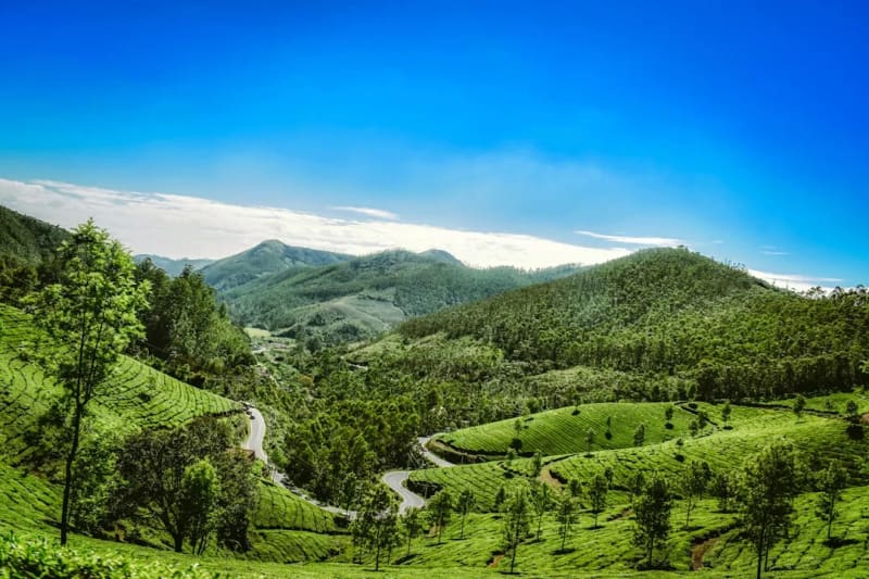 Ooty