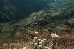 Shillong