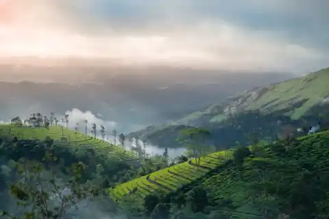 Vagamon