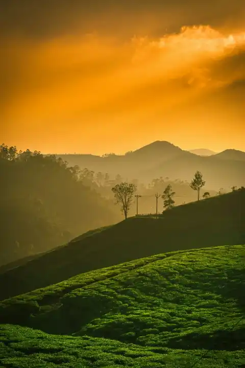 Echo Point, Munnar