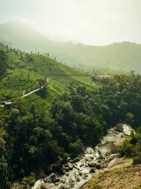 Ketti Valley Viewpoint, Coonoor