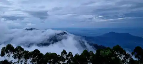 Coaker's Walk, Kodaikanal