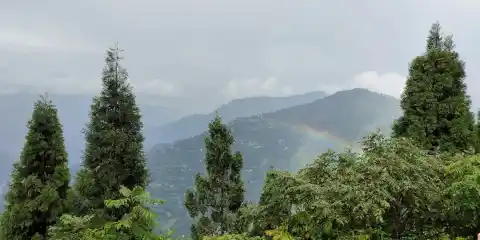 Flower Nurseries (Cactus & Orchids), Kalimpong