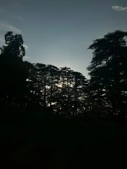Chail Cricket Ground, Chail