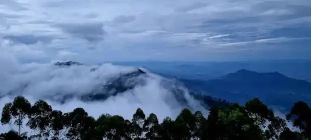 Coaker's Walk in Kodaikanal, Tamil Nadu