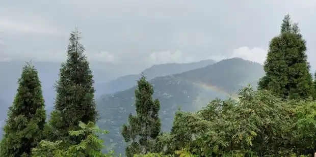 Flower Nurseries (Cactus & Orchids) in Kalimpong, West Bengal