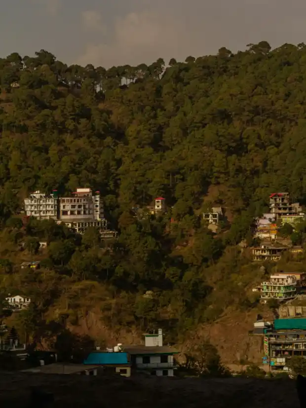 Christ Church to Monkey Point Walk in Kasauli, Himachal Pradesh