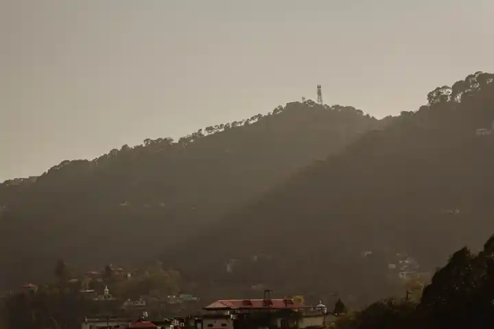 Kasauli