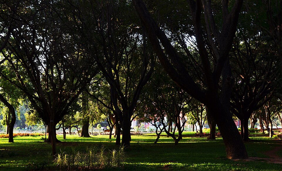 Cubbon Park photo 4