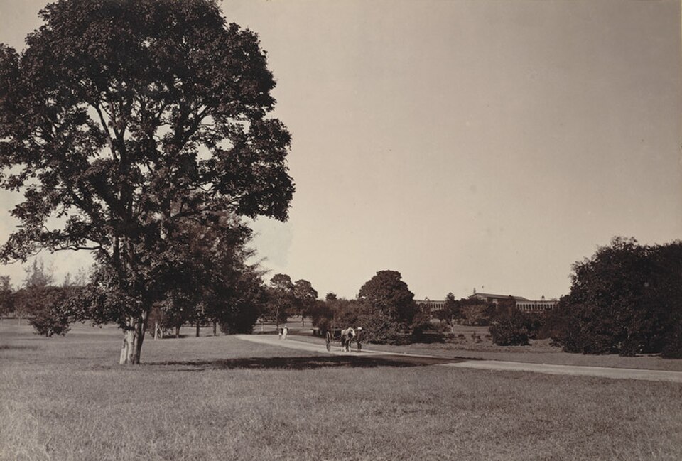 Cubbon Park photo 5