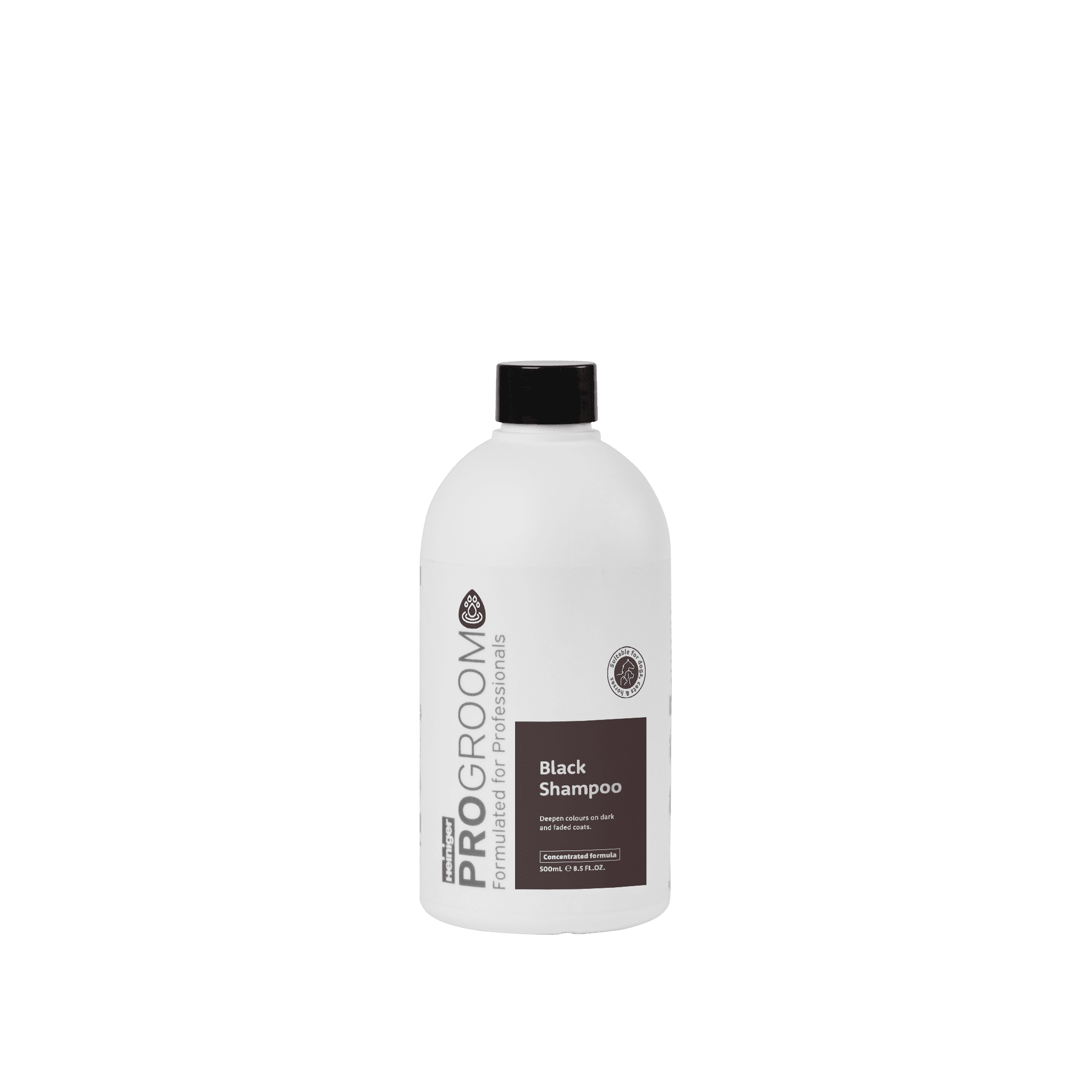 Black Shampoo