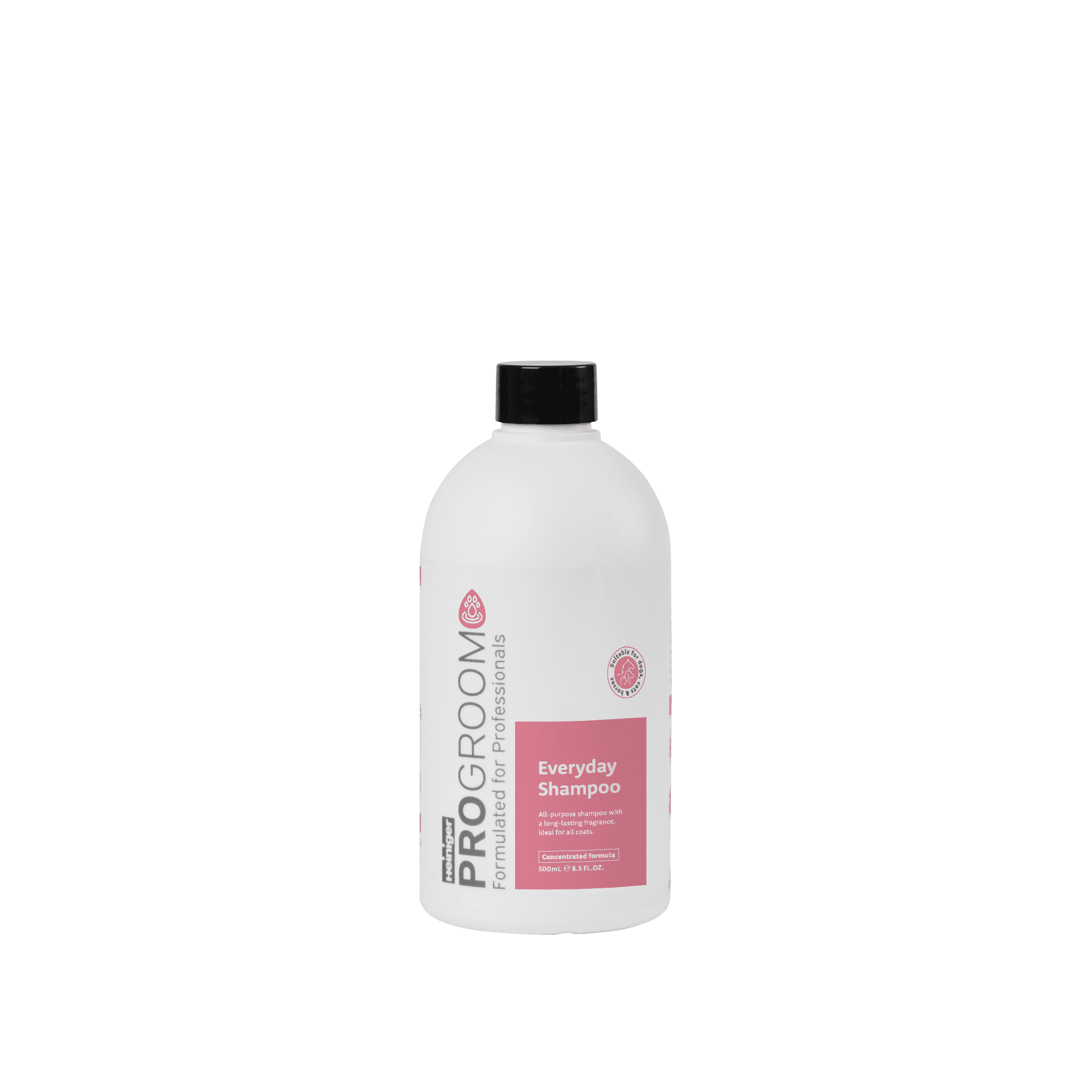 Everyday Shampoo
