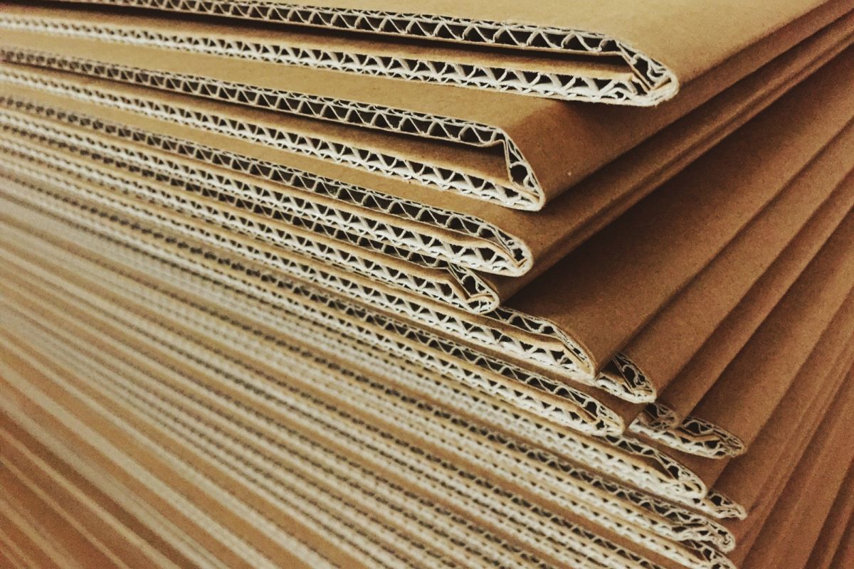 corrugated board