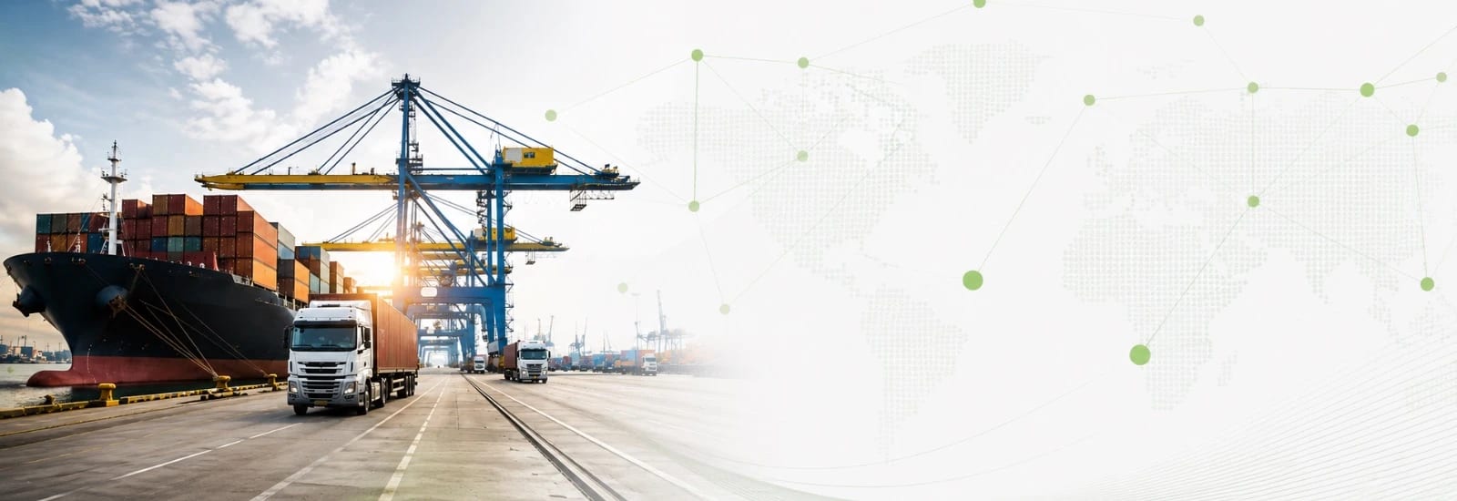 ULN specialized logistics networks