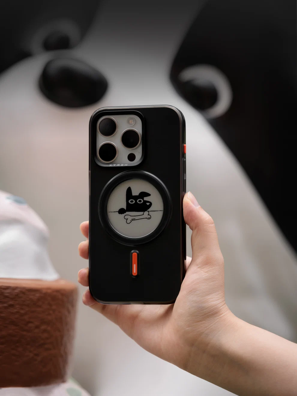 iPhone 16 Pro