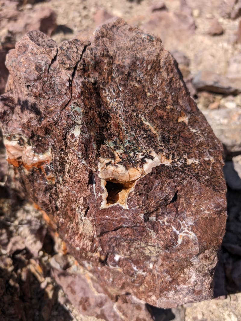 Hauser geode beds Rock Tumbling Hobby