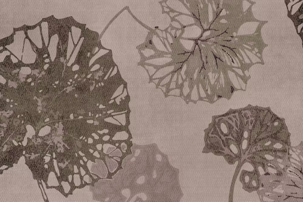 GLXII262A