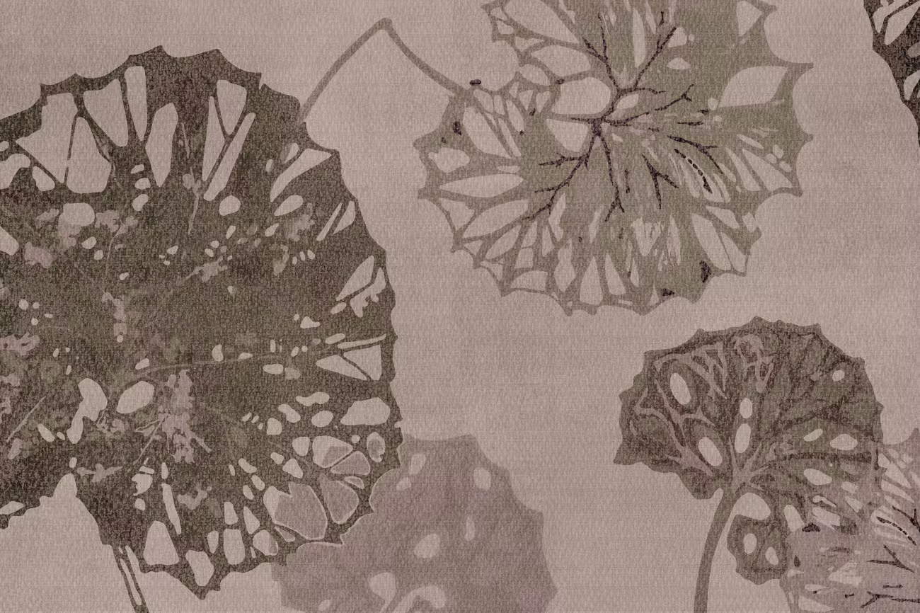 GLXII262A